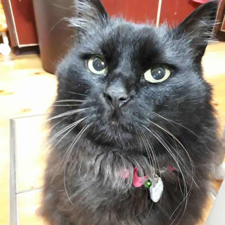 8fe98f40 9da5 4a24 8d91 b1106f47e888 1523998255903