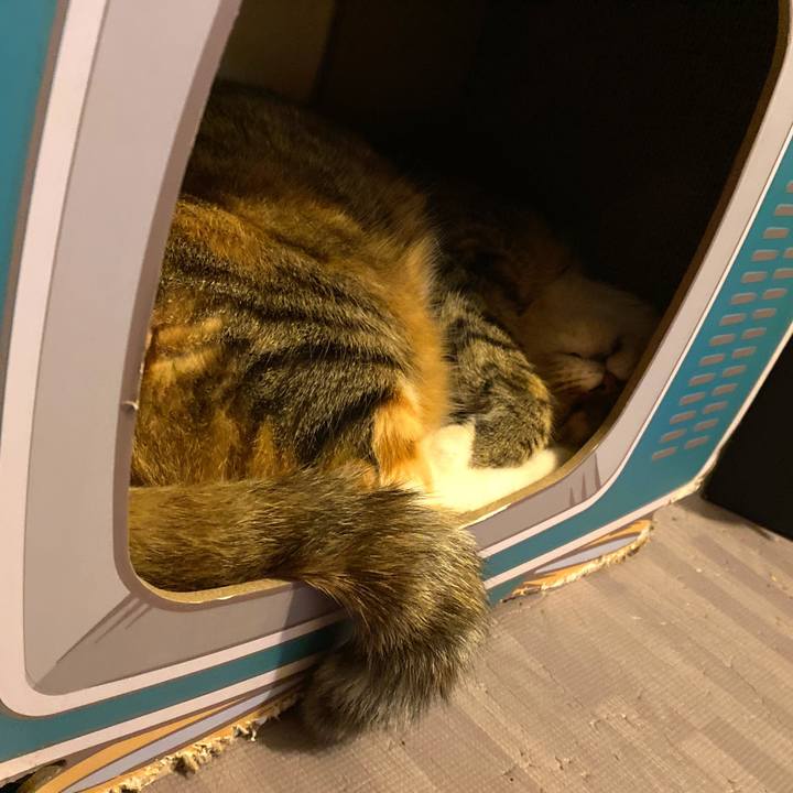 8fe99265 f56e 4019 896c 7a23acdd0261 1661624811143