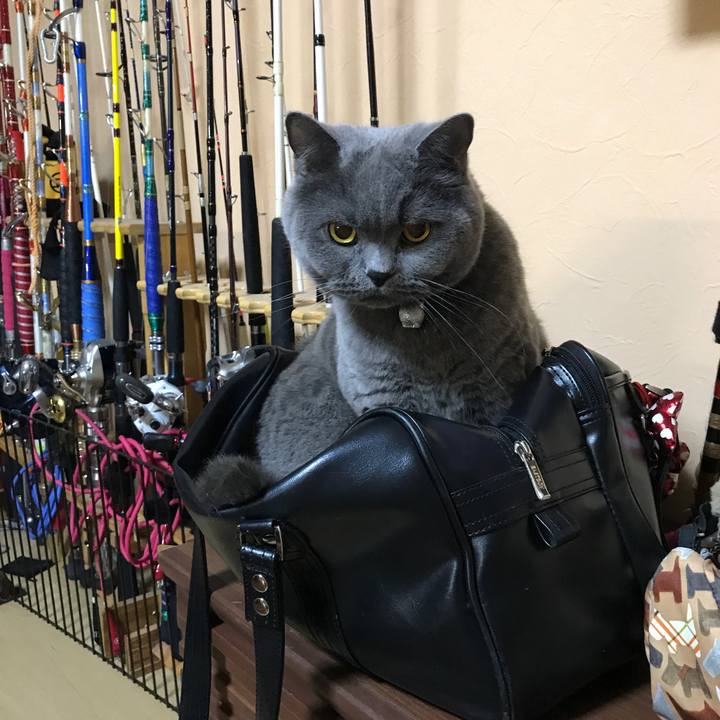 8fe99316 fac2 4dec 908b 92892966b5c8 1773478919675