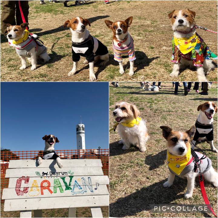 8fe9a754 531b 4e0f a905 ffa8b63a0de5 1614086435411