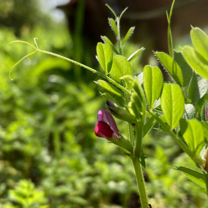 8fe9d11e 9878 4c14 aaba 1bf1cee605ac 1680155732005