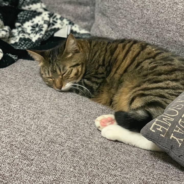 8fe9e252 9559 406f 8e78 d68de67ae3b9 1547733540087