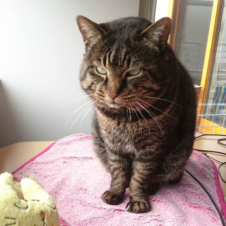 8fea5e1b b0c4 4e4e aff5 3033d59a52eb 1521024701908