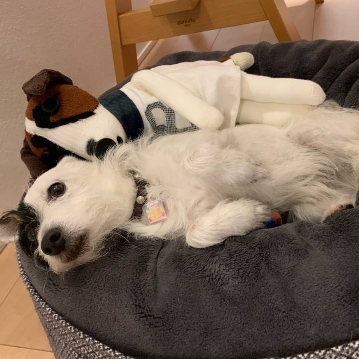 8fea6ef4 075f 40df 9e04 0aea9a9be3bb 1652108876406