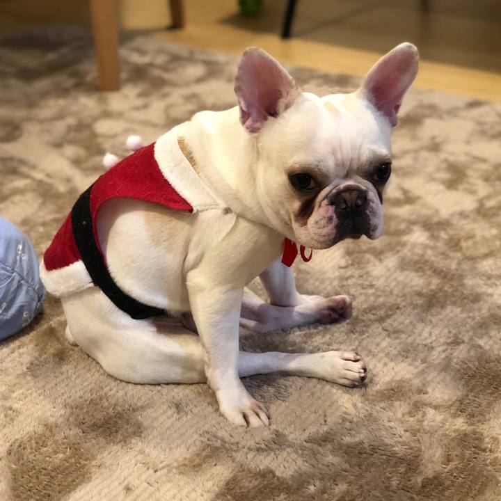 8fea6f4f c675 4fe7 b052 92c46019f258 1514555844331