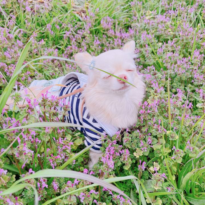 8fea723a 3743 40dd ad82 0abc39b4b161 1677661131716