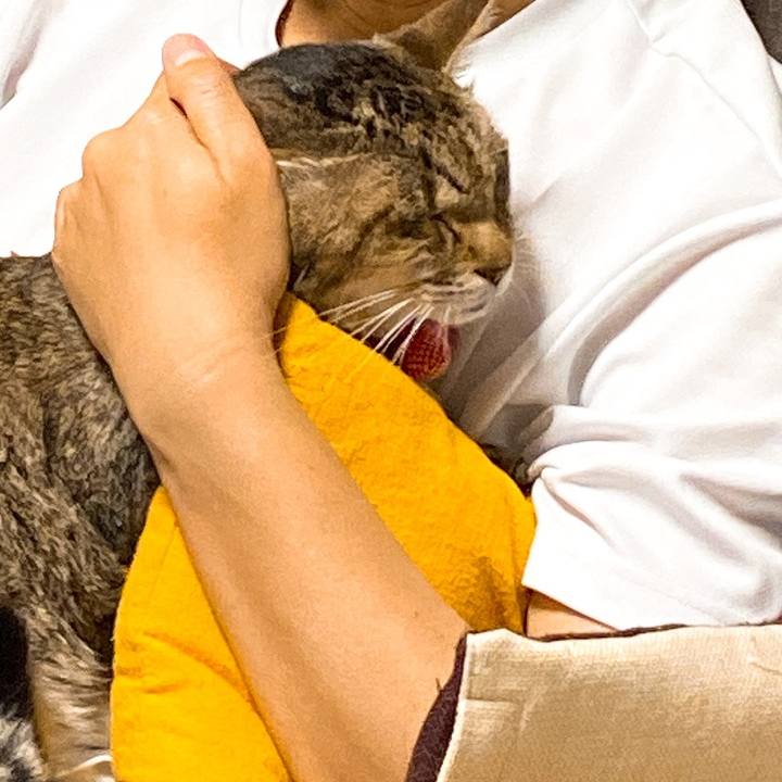 8fea8737 e85d 46a1 8843 b0ba82804c94 1597371728244