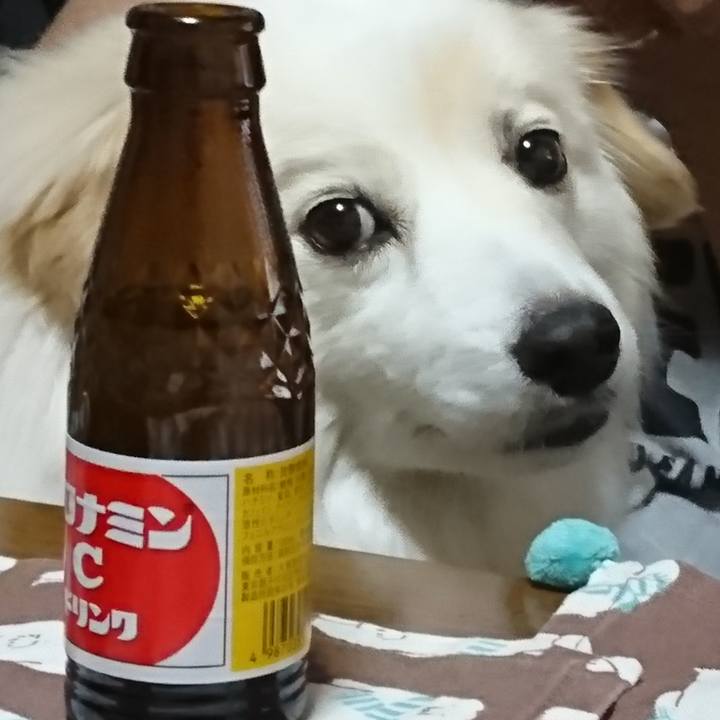 8fead880 8588 4911 9b62 4fdcc7400e8a 1526849796586