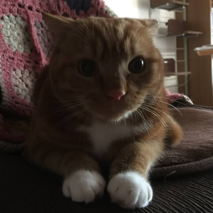 8feb0a43 8b9f 412b b290 4e0e858e9c38 1550014422323