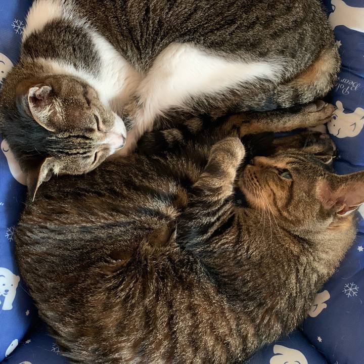 8feb184f e1b2 46bb 81f7 c8655e287b24 1595725774628