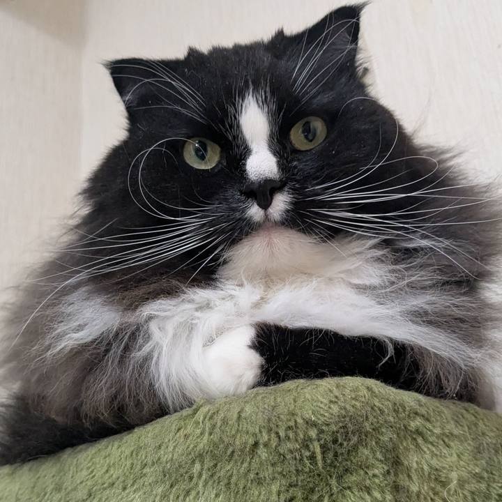 8feb2f3d 55ba 4b78 9c99 dc069fc3d641 1738278310979