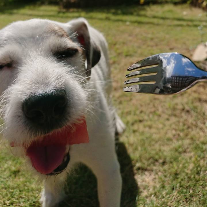 8feb3265 b1b9 4a29 b6e0 6569692f2f54 1535671098064