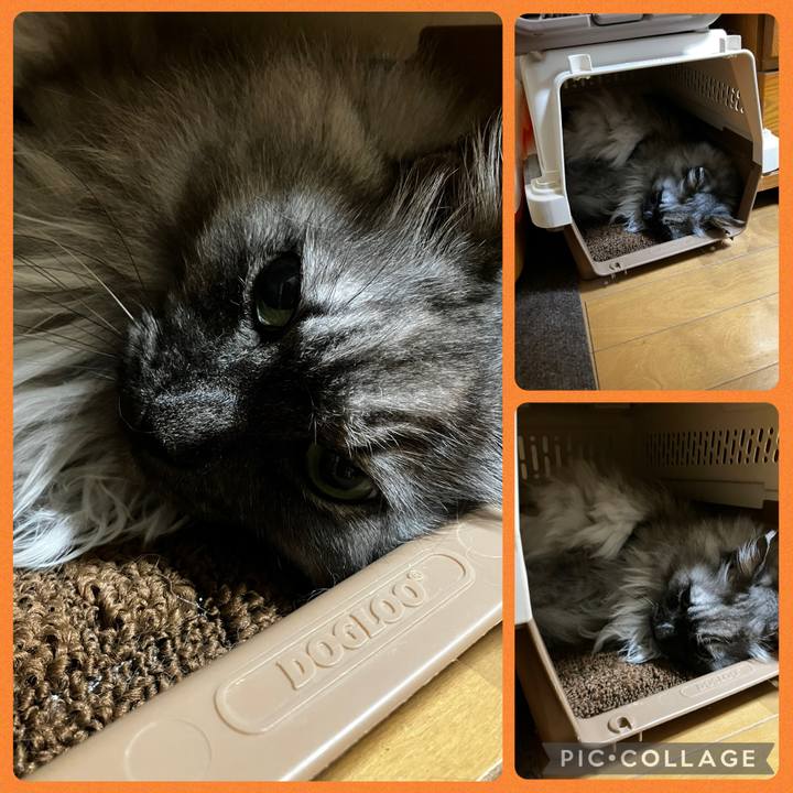 8feb426a 572b 478e 88b2 626b0cf723d5 1747701690929