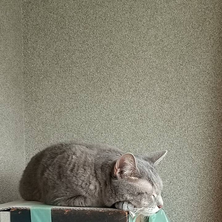 8feb5c9a e890 4ee3 b931 6526c330455f 1633831173129