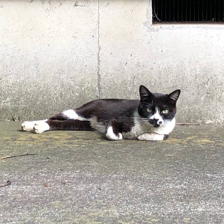 8feb790a ab6d 4b32 86db e090e7ff2e7f 1531083528988