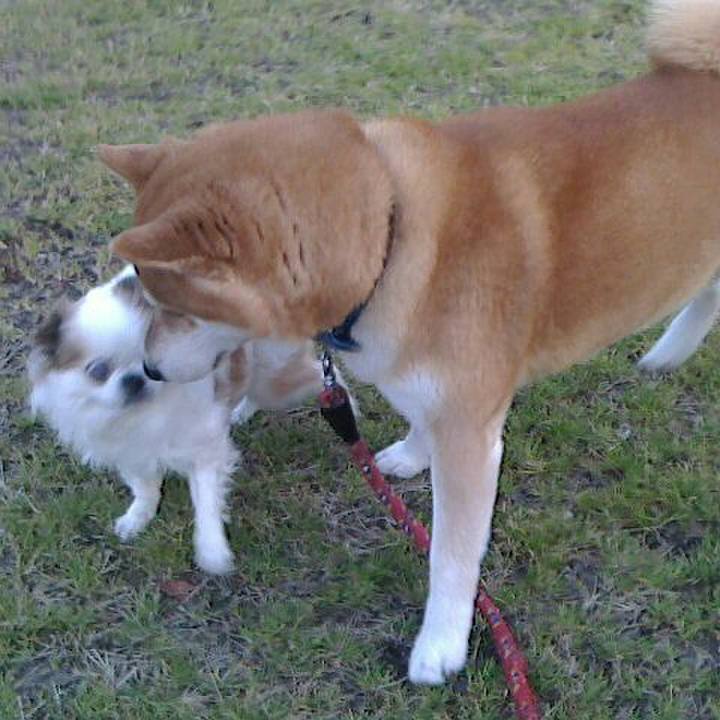 8feb875d fb2d 4182 bf88 de93a9764eba 1547554844813