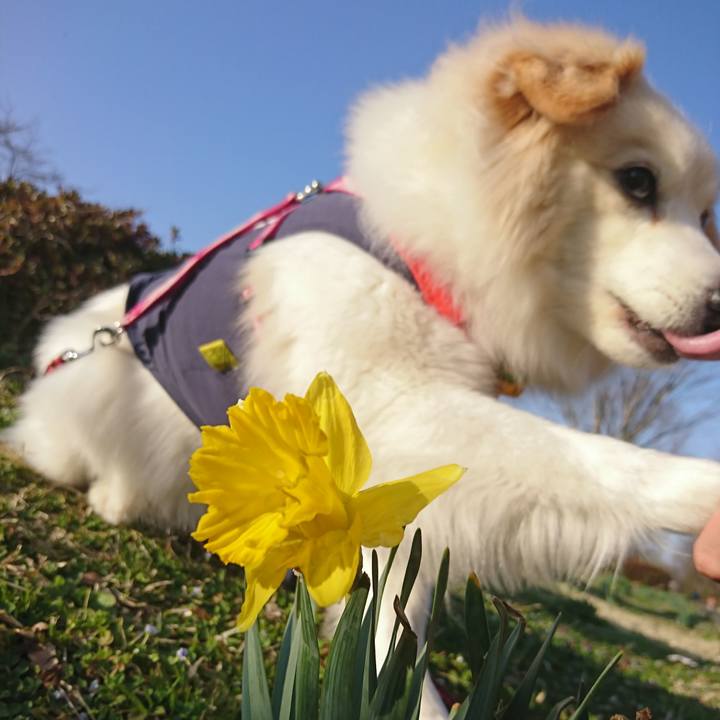 8febac9d a80a 435d 874d 559586aa31f6 1522222261211