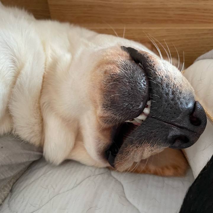 8febace0 b7fa 490f 9aef e2c416d1c99f 1659105034391