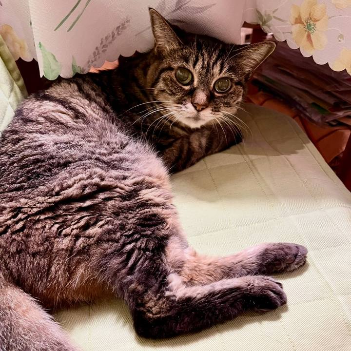 8febb9ae 03df 40d2 a29a a2265bc77f3c 1763196786884