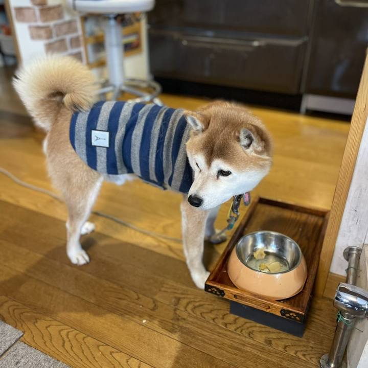 8febc7eb 659b 4306 90de ed3cf7ef1cc4 1613864654261