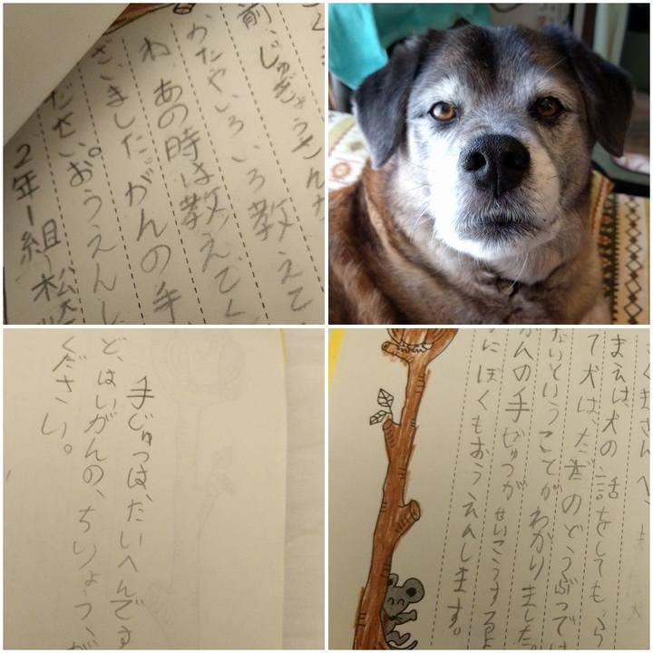 8febe2e2 a314 4330 9722 24ee04c85203 1553509688742