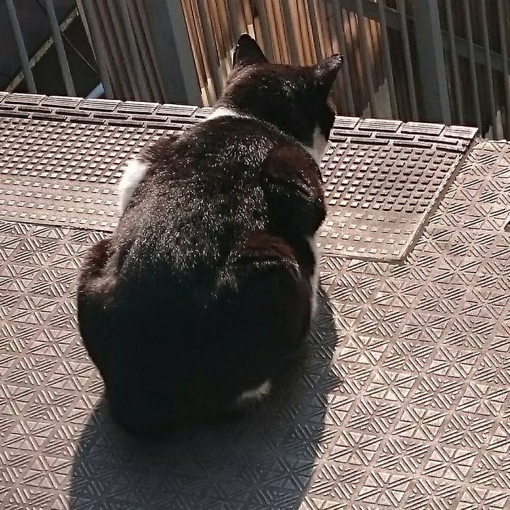 8febeaff 9219 48e8 8d23 852b9de3f7e4 1511520618867