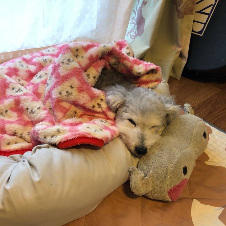 8febeb00 2f14 4f38 bee5 016ca6bfdc54 1634604060860