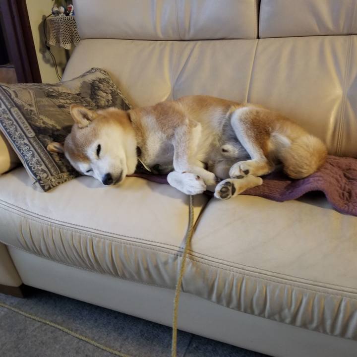 8fec1f93 d86d 41ef 91ac 23ed50c3b565 1666390873714