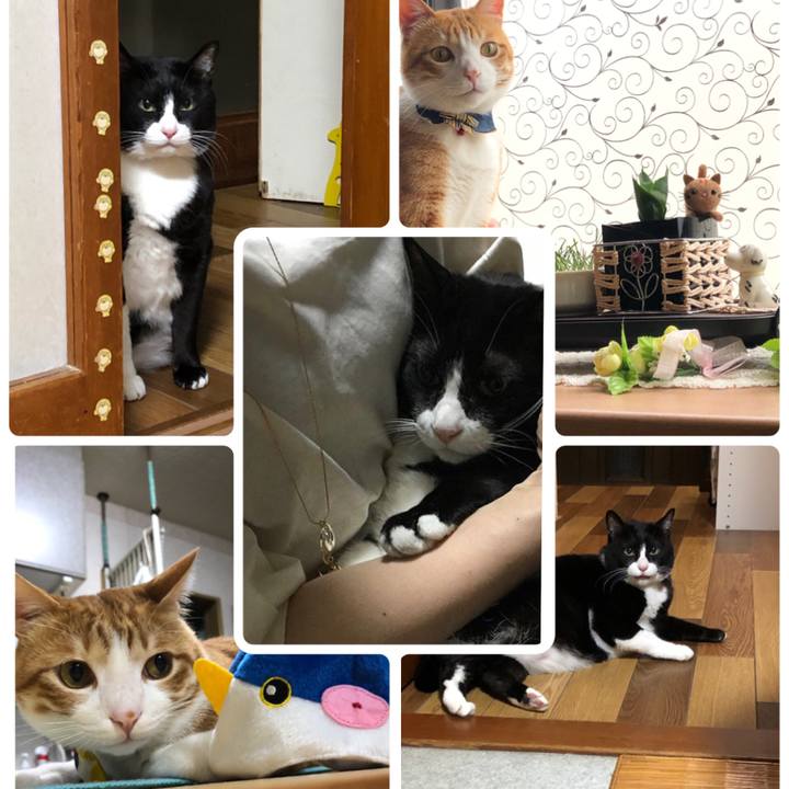 8fec2af7 0fdc 4919 bc0c 2f178fa69bb9 1559566176971