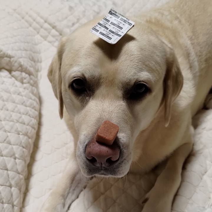 8fec5fc1 2593 42a6 9e42 d8bd5a860da6 1695601070252