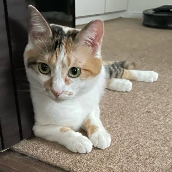 8fec7f32 d109 4fba a59f 6c01d4e18b5f 1657961247538