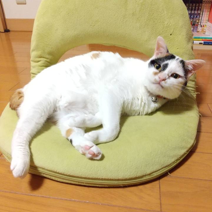 8fecec5b e00e 4d46 9092 506119e7a20e 1619869500646