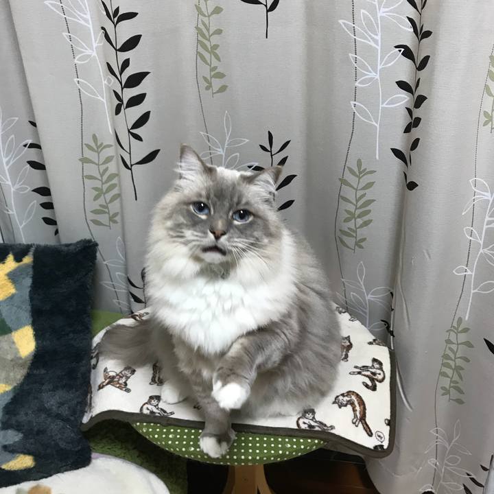 8fed05e1 9459 40db bcd3 92c516c52904 1513501217415