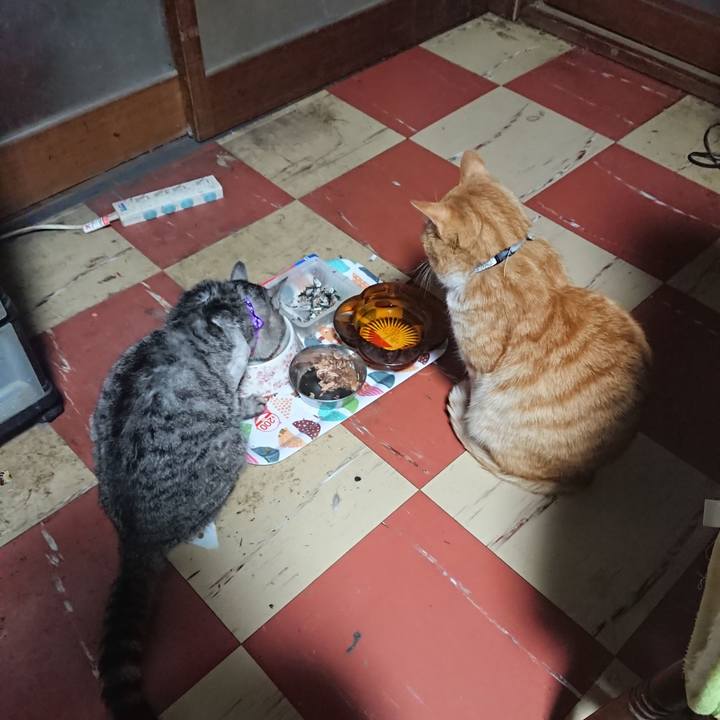 8fed141d 5dc5 4112 a5c2 5d95c14db44d 1587632365260