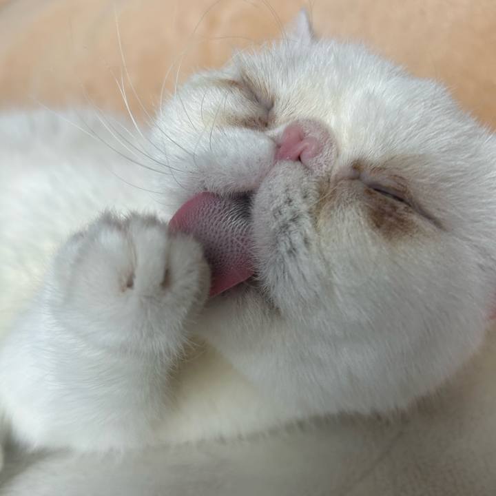 8fed1a33 adaf 4adc 89f5 59ad9e4ac675 1703030942702