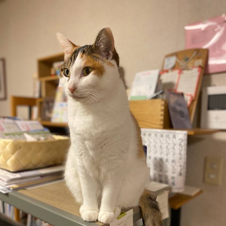 8fed4301 da7f 4b1e b96f bec407bf1c4d 1760185979484