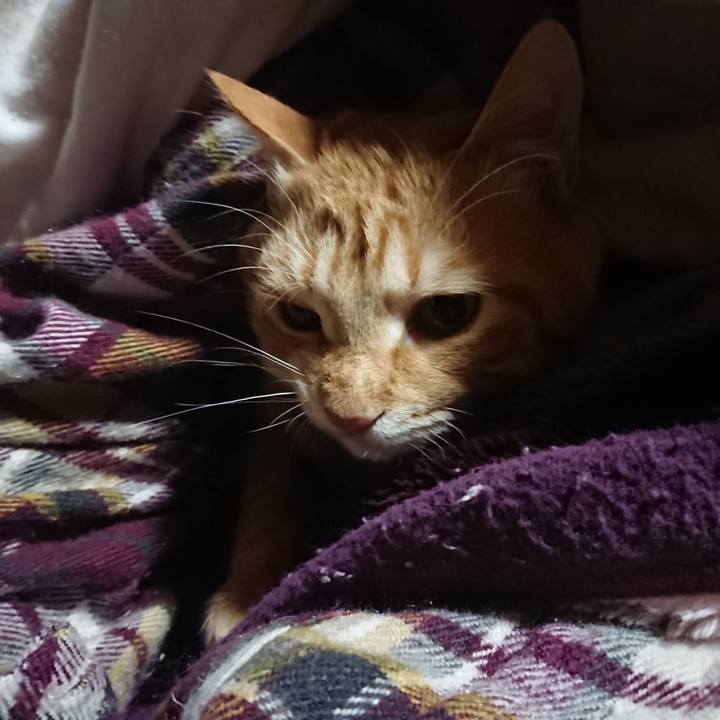 8fed8b82 f3e5 4472 b070 ff7760cfcf15 1639687435466