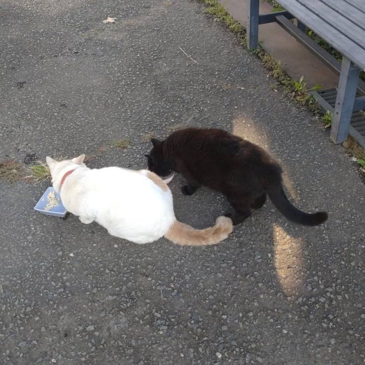 8fed8bec 78d6 44e4 ac37 e49940f54f69 1758843033457