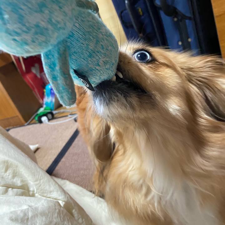 8fedecb9 03c8 4482 89cc ec4273bb9ed9 1587172605527