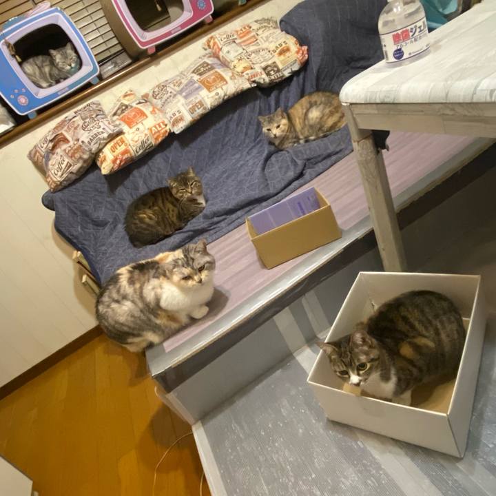 8fee22f4 e2df 48f5 9637 b4194a0d4839 1652804074587