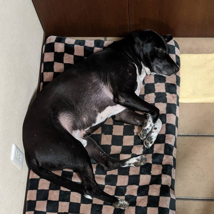 8fee2f44 3420 4097 83d5 ba1257de2732 1646096834285