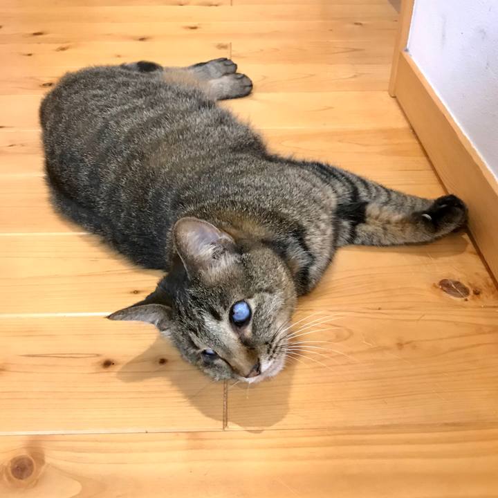 8fee54a1 a964 404f 9c44 39603c94290d 1594338998756