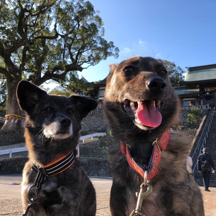 8fee778c dc73 4a71 8339 de5bf4975c5c 1606261624529