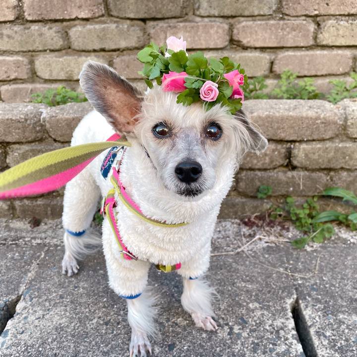 8fee9d62 59c5 4c7e b310 fac20d61d36a 1771323441590