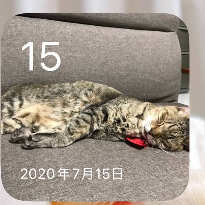 8feea885 e3fb 4ad9 9633 4c4bcc0e1119 1752551282908