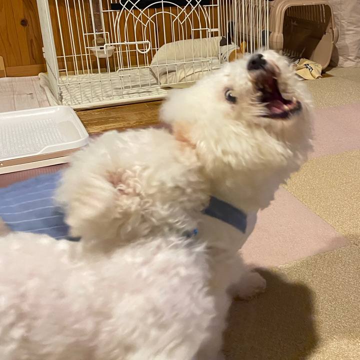 8feeb298 5549 4b56 8a82 987fbf70368f 1750766922039