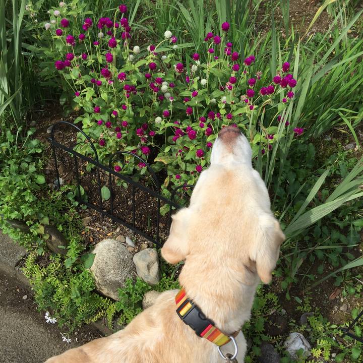 8feeb3a8 bdb2 4549 bad9 449f9240c507 1537233684999