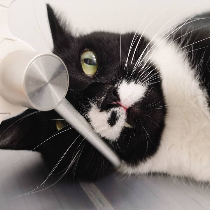 8feeda3a 6ac1 4bb1 a5e3 5efcedba4aae 1570550350629