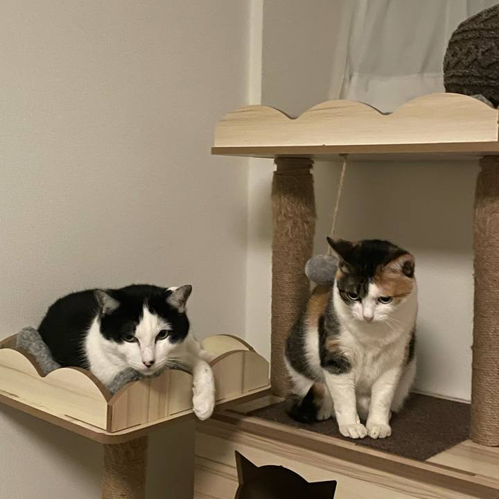 8feeeeb9 3daf 4710 9838 5801f73bec97 1677158138570