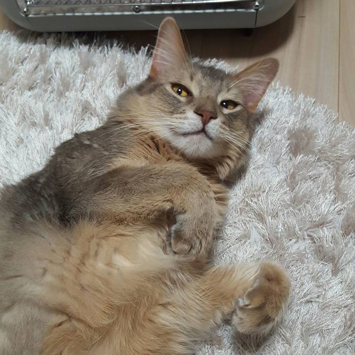 8feeef9b bb9c 4ed0 9c5b b447d76d1778 1519303855867